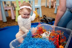 IMG_9812-ti