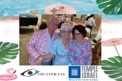 0199-Temple_Israel_-_Temple_Royale-d1-template