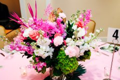 8335-temple-israel-palm-royale-event-coastal-click-photography